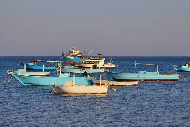 Luxor Shore Excursions from Safaga